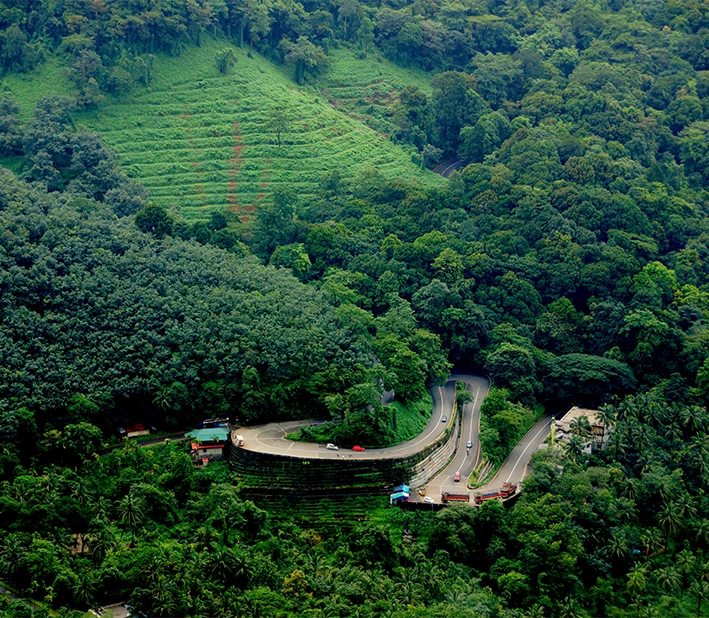 Kerala Premium Holiday Package  Kochi Munnar Thekkady  Alleppey